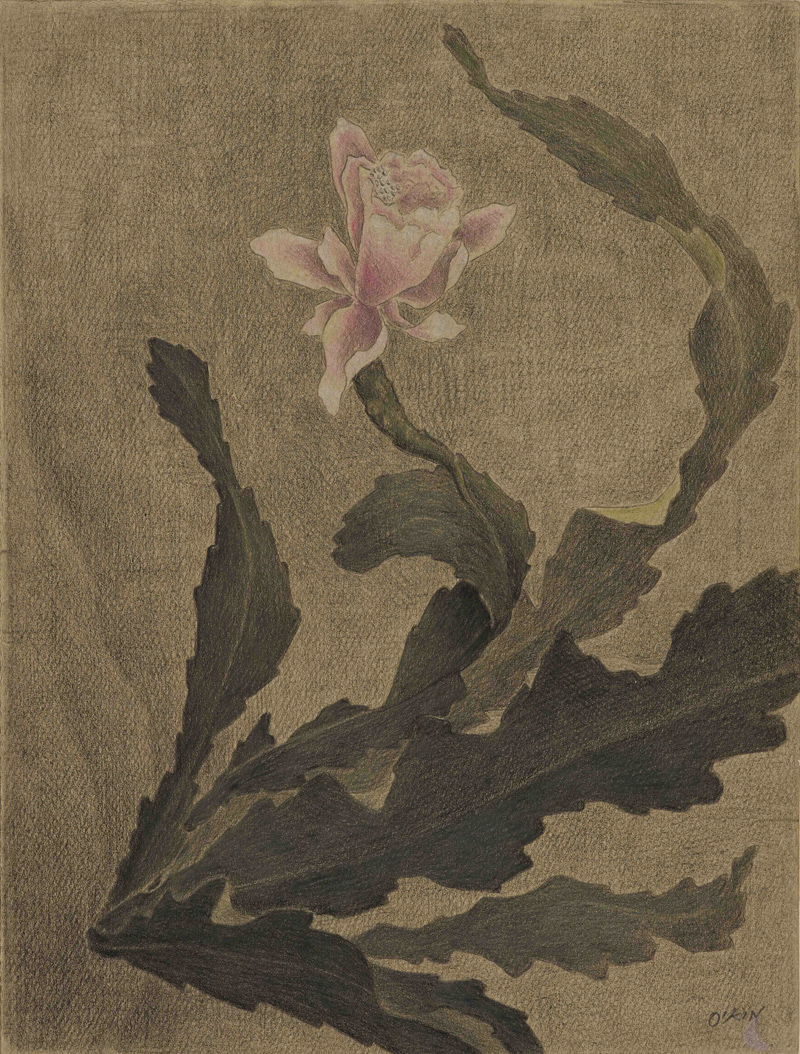 Une Fleur