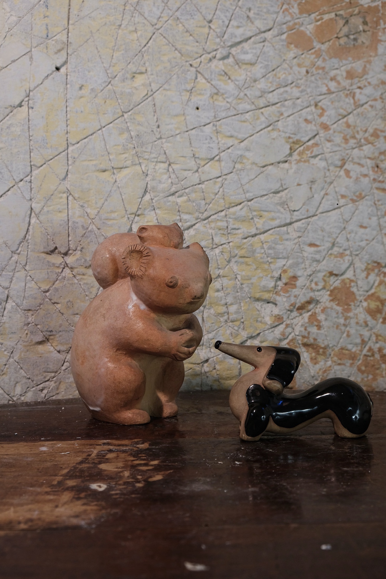 Koala et son petit - Teckel